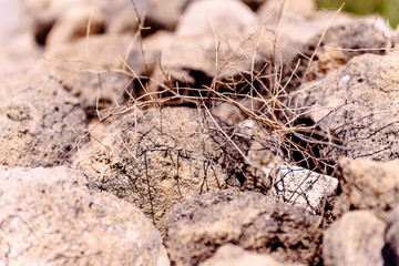 Tower made of gray stones
