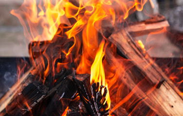 Fiery background, texture, fire closeup