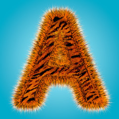 Tiger english alphabet and number 3D rendering of funny fur font isolated on blue background. Halloween concept. 3d illustration