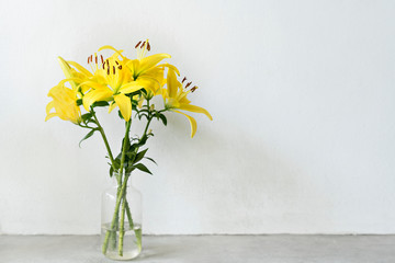 Flower in a vase
