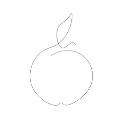 Apple fruit icon one line drawing, vector illustration