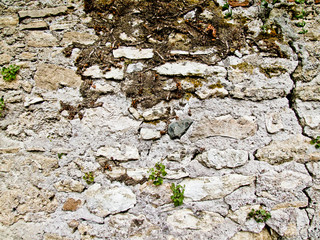 Texture background design pattern abstract.