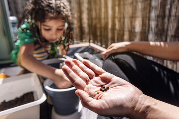 hand with seeds with a girl planting in pots
