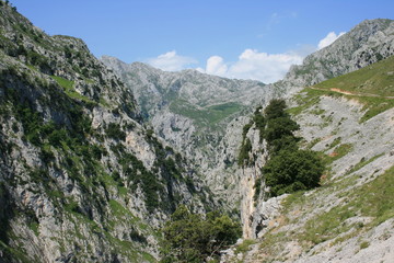 Fototapeta na wymiar Picos de Europa national park, Asturias, Spain