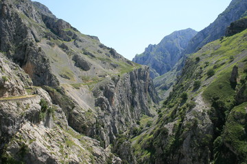 Picos de Europa national park, Asturias, Spain