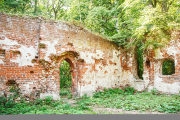 ruins of medieval abandoned church in a forest