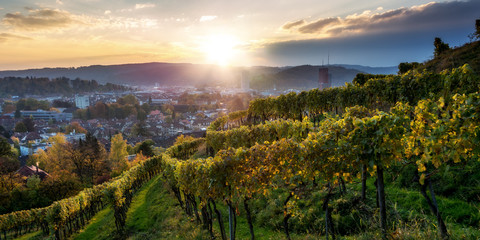 View over Winterthur from Bäumli