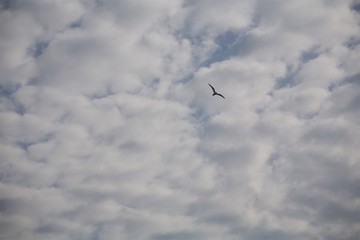 The texture of the clouds