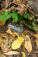 Pollution. Disposable plastic cup on the rainforest floor