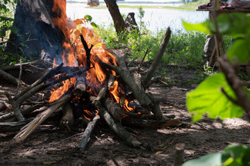 Starting Forest Barbicue