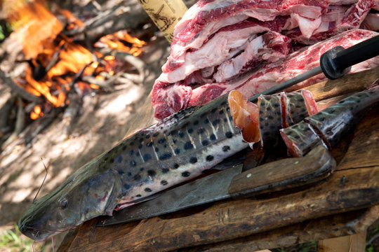 Cooking raw fish and meat