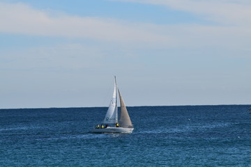 sailboat on the sea