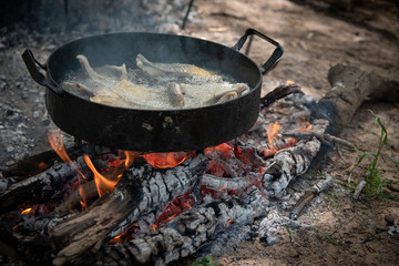 Fried fish camping