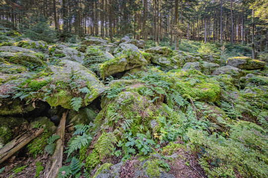 Blockstrom, Kaser, Steinstuben, Voglarn, Triftern, Landkreis Rottal-Inn, Deutschland, Niederbayern