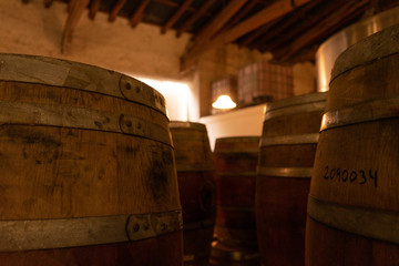 Wine cellar  oak barrels