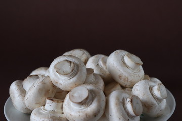 raw mushrooms on a plate on dark brown background