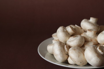 raw mushrooms on a plate on dark brown background