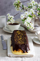 Lviv cheesecake, a traditional Ukrainian dessert with raisins, coated with chocolate icing.