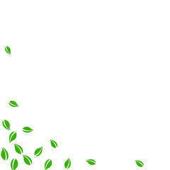 Falling green leaves. Fresh tea random leaves flyi