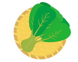 チンゲン菜　野菜　ベクター　イラスト