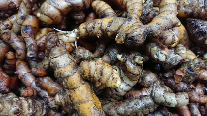 Herb Fresh turmeric root background