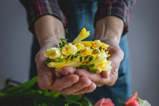 Unrecognizable female professional florist making bouquets of various types. Roses. Yellow flowers. Coves