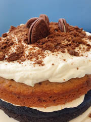 Chocolate and Cappuccino Cake with Cream Frosting