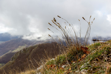 panoramic from the mountain peaks