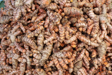 Herb Fresh turmeric root background