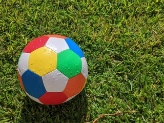 colorful soccer ball on green grass with water drops