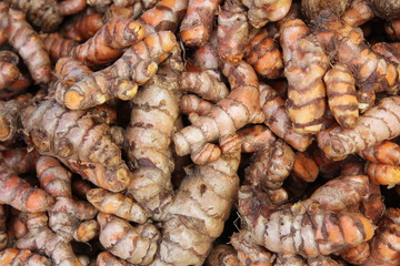 Herb Fresh turmeric root background