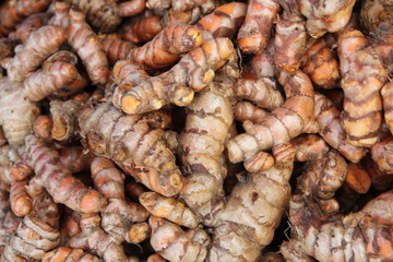 Herb Fresh turmeric root background