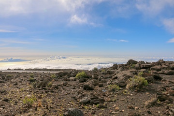 Sea of clouds, Haleakala National Park, Maui, Hawaii