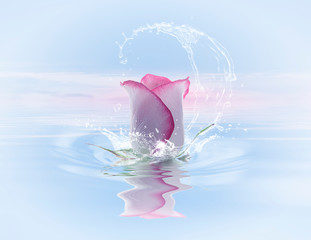 flor rosa en agua con salpicaduras y cielo azul