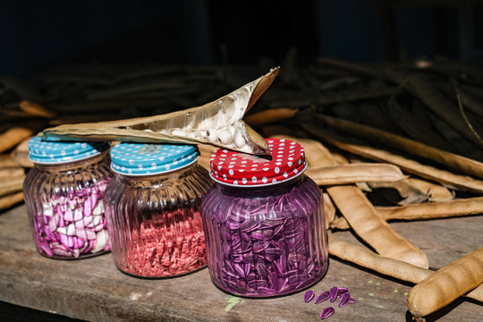 Colourful Seeds In Jars Of Glass, Harvested To Enhance Organic Food Growing