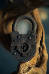 Vintage padlock is located on the branches of a decorative tree