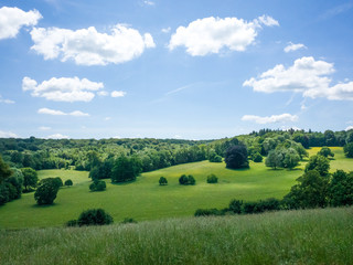 Beautiful green meadow farmland in southern England under cloudy blue sky