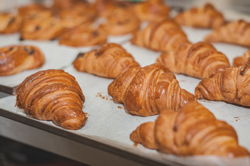 Freshly baked croissants on a baking sheet. Commercial kitchen.