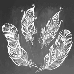 Feather hand drawn vector illustration. Sketch collection. Engraved style set of doodle plumes on chalkboard background