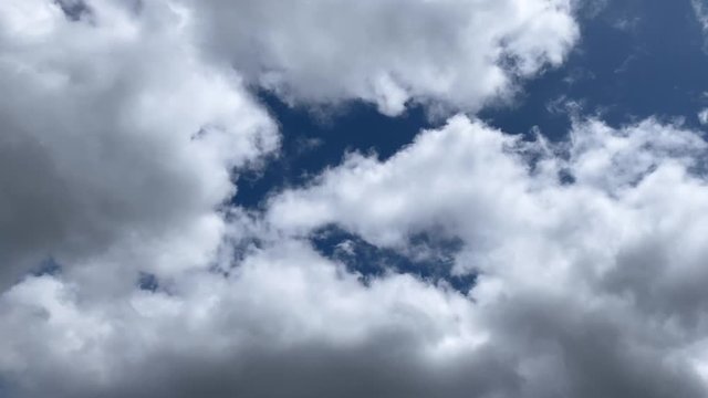 青空に湧きたちながら流れる積雲 タイムラプス