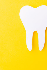 Paper tooth on a yellow background. Place for text. From above. place for text
