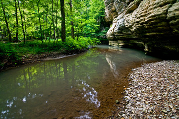 A small stream flows quietly beneath the wall of a sandstone canyon in a spring green landscape.