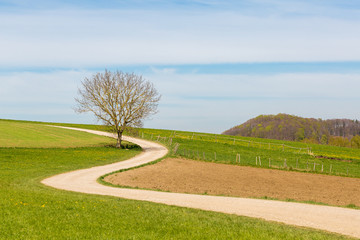 Fototapeta premium Winding footpath leading through picturesque bavarian landscape