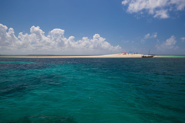 Zanzibar, landscape sea, coral reef
