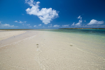 Fototapeta na wymiar Zanzibar, landscape sea, white sand
