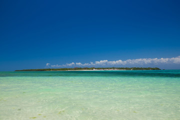Zanzibar, landscape sea, coral reef
