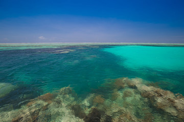 Naklejka na ściany i meble Zanzibar, landscape sea, coral reef