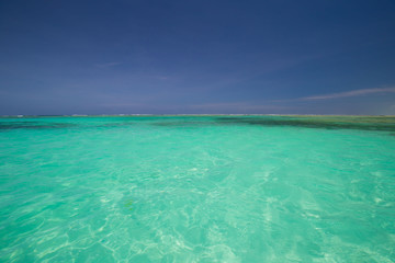 Zanzibar, landscape sea, coral reef