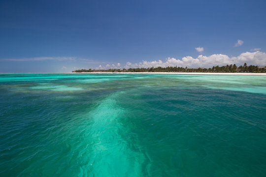 Zanzibar, Landscape Sea, Coral Reef