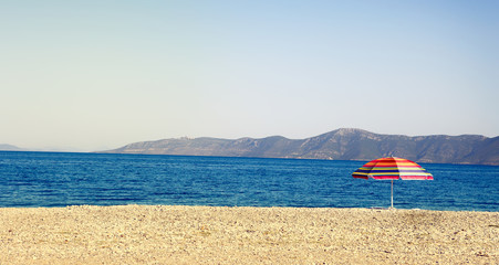 Fototapeta premium Tropical summer banner